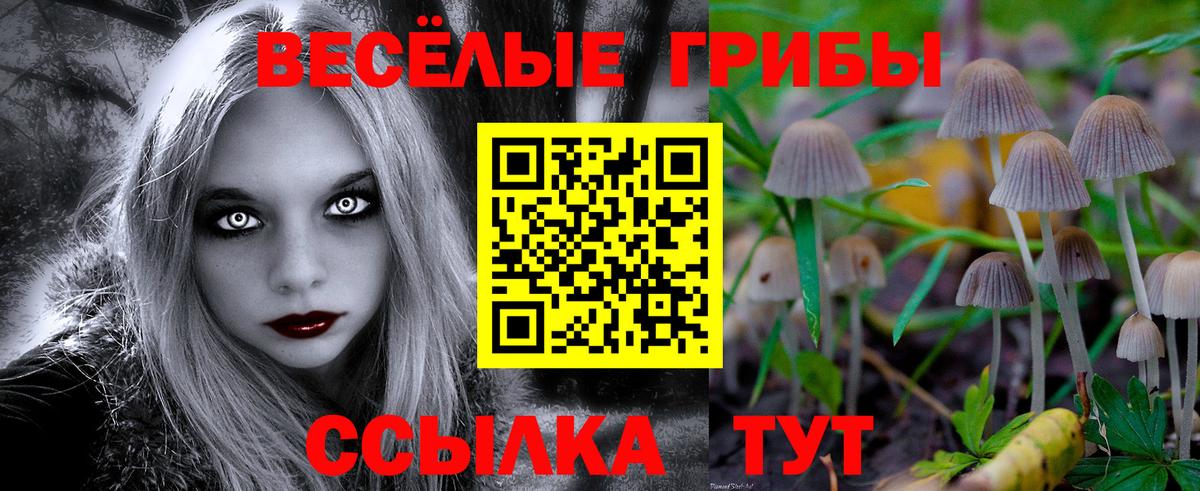 Муром  Галлюциногенные грибы Psilocybine cubensis  Вход с VPN 